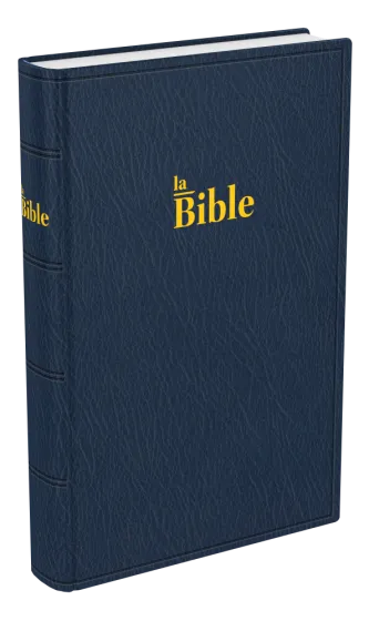Bible Darby, format standard, bleu - couverture souple