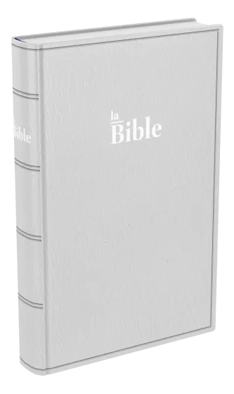 Bible Darby, format standard, gris - couverture souple