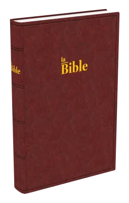 Bible Darby, grand format, brun-rouge - couverture rigide