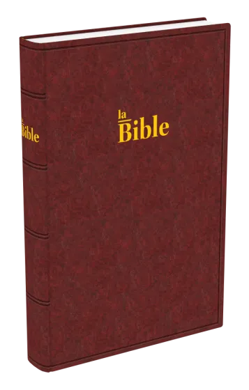 Bible Darby, grand format, brun-rouge - couverture rigide