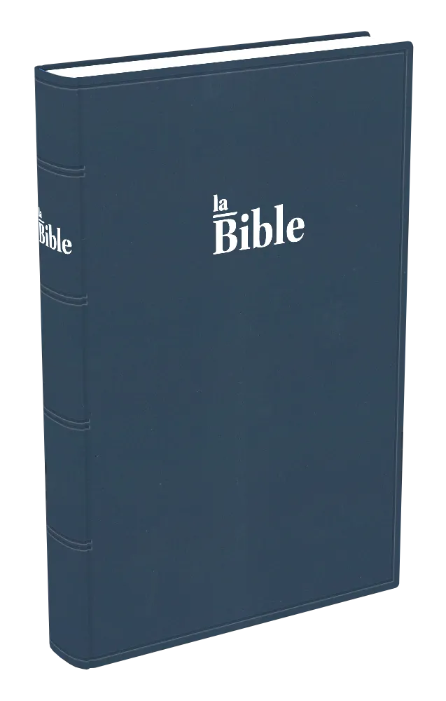 Bible Darby, grand format, souple bleu