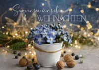 Postkartenbox Weihnachten Gesegnete Festtage - 12 verschiedene Postkarten in einer Box mit...