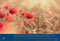 ATEMHOLEN - WANDKALENDER