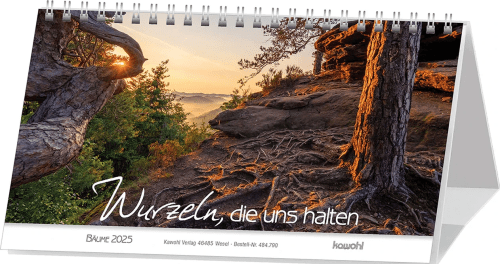 Wurzeln, die uns halten - Bäume (Postkartenkalender