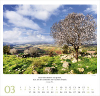 Geliebtes Israel - Wandkalender