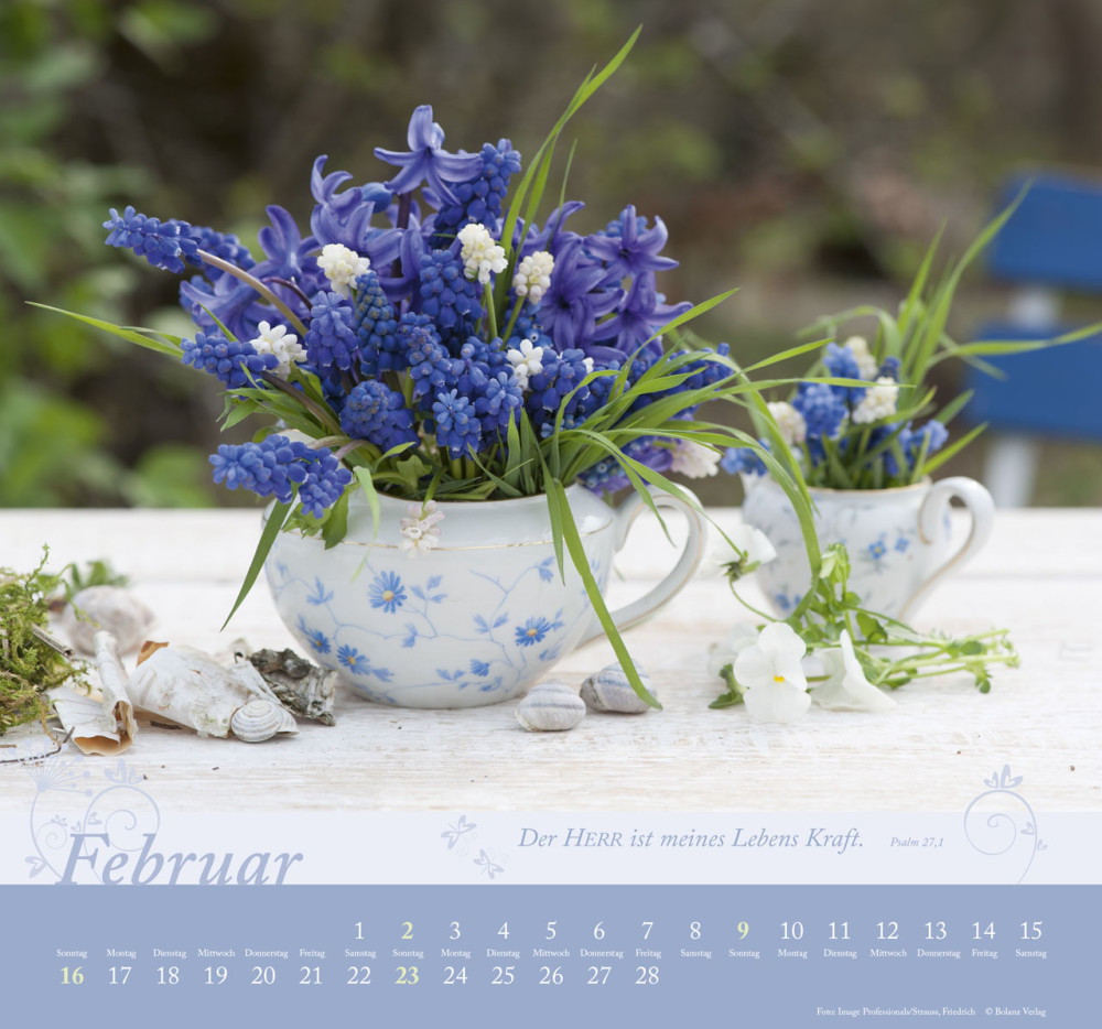 Im Garten zuhause - Wandkalender