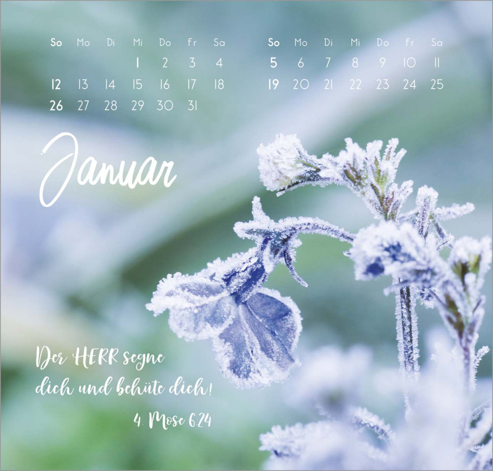 Zarte Blumengrüsse - Wandkalender