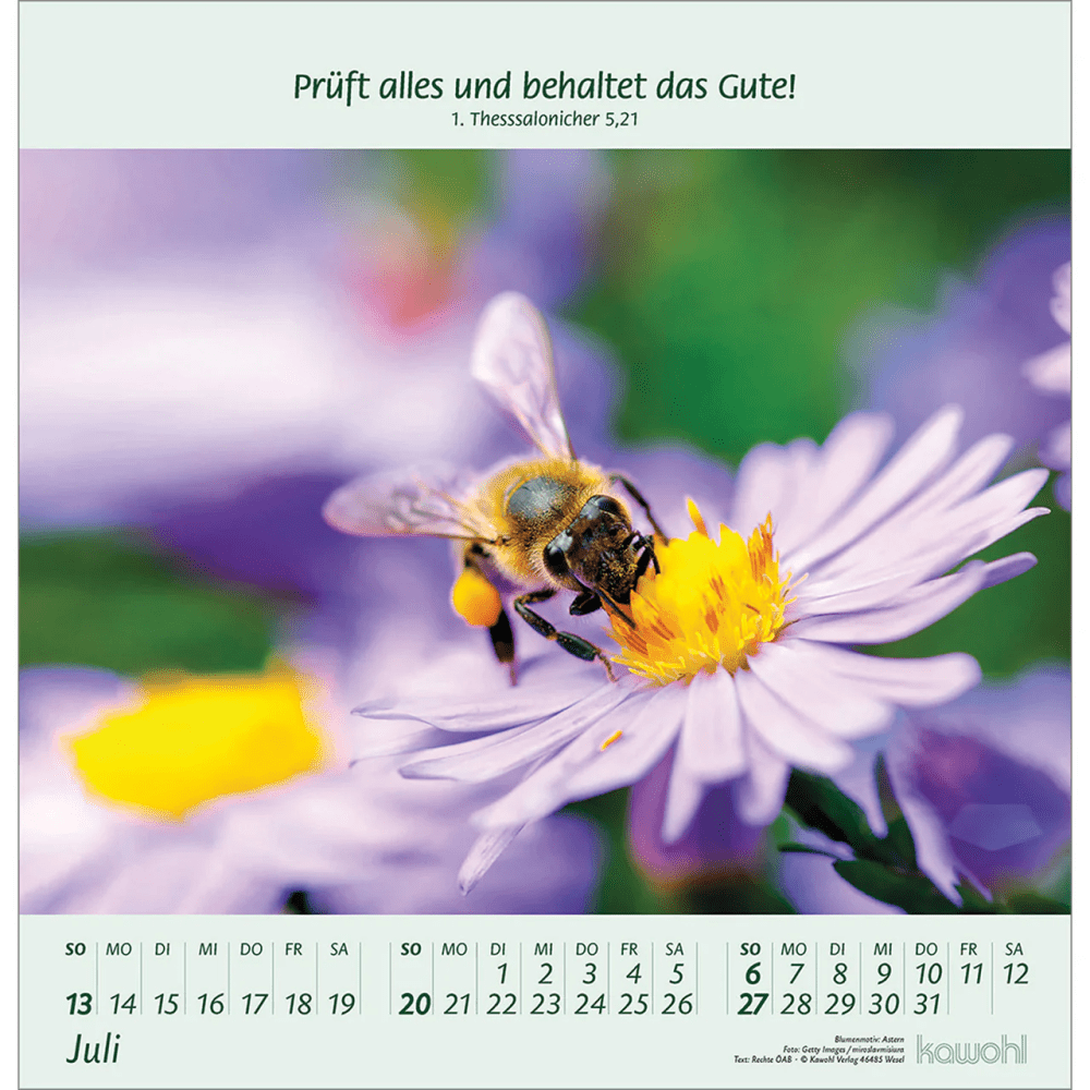 BLUMENGRÜSSE - WANDKALENDER