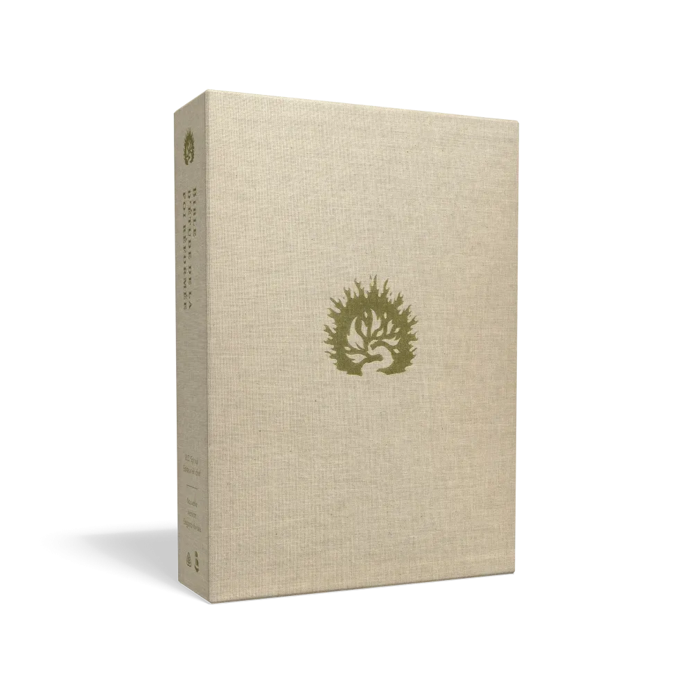 Bible d’étude de la foi réformée - Rouge brique, Similicuir, tranches or, un signet