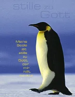 Blankbook Motiv Pinguin - Notizbuch "stille zu Gott"