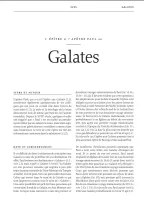 Bible d’étude de la foi réformée - Brun clair, Similicuir, tranches or, un signet