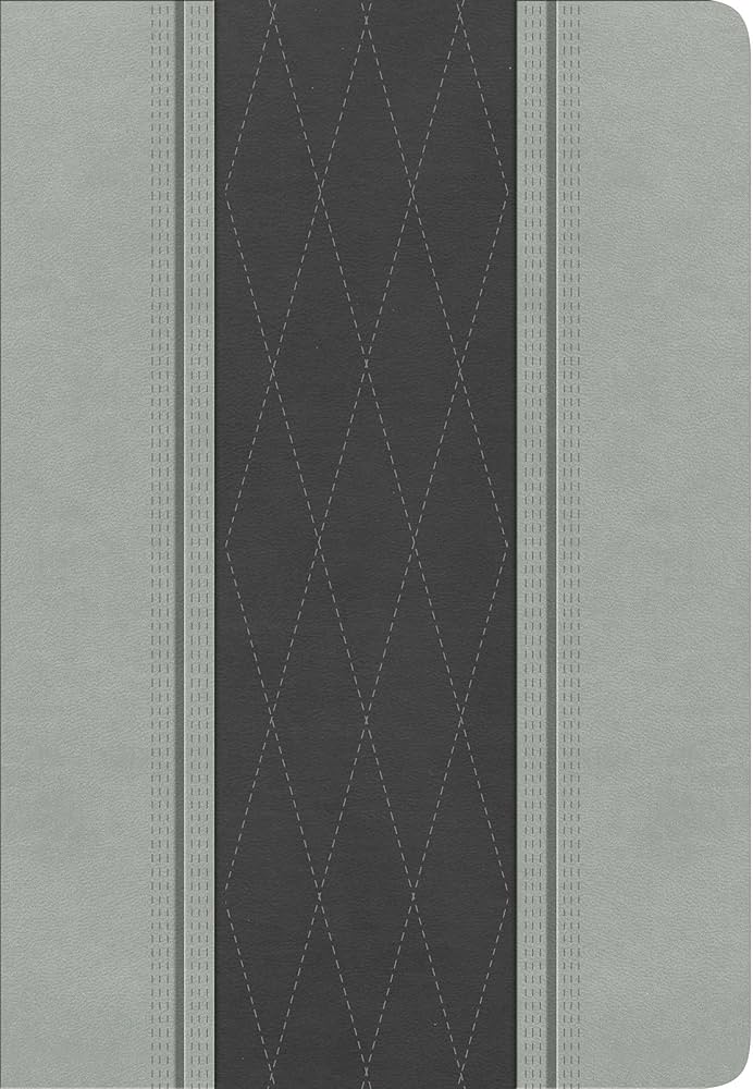 Espagnol, Bible, Reina Valera 1960, gros caractères, moyen format, similicuir duo gris - Letra...