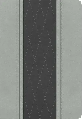 Espagnol, Bible, Reina Valera 1960, gros caractères, moyen format, similicuir duo gris - Letra...