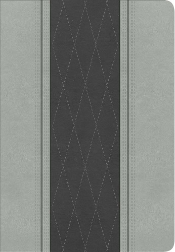 Espagnol, Bible, Reina Valera 1960, gros caractères, moyen format, similicuir duo gris - Letra...