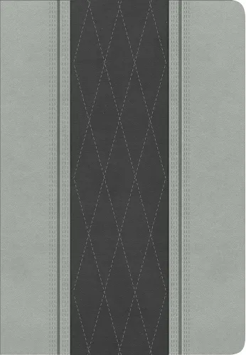 Espagnol, Bible, Reina Valera 1960, gros caractères, moyen format, similicuir duo gris - Letra...