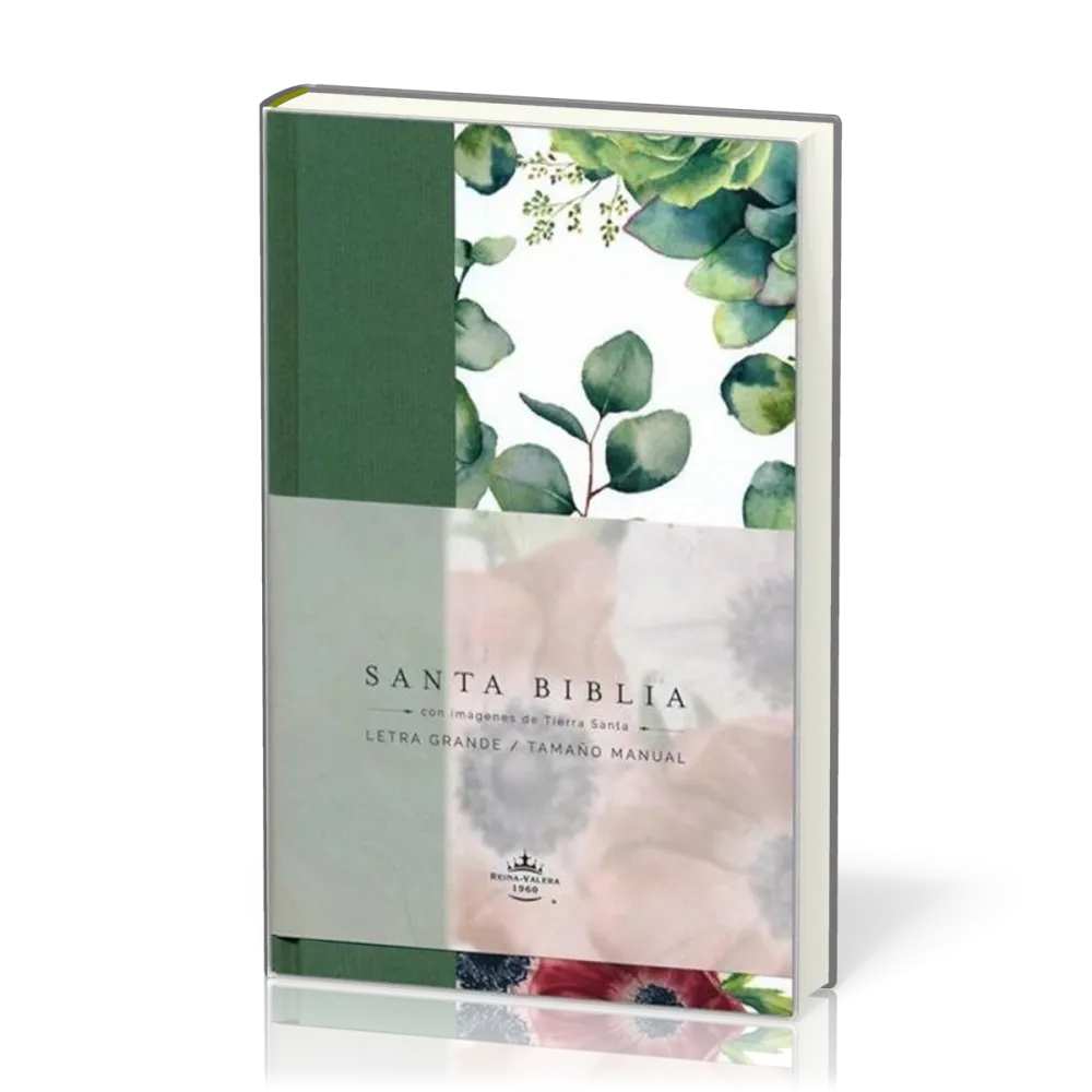 Espagnol, Bible, Reina Valera 1960, gros caractères - couverture rigide en toile verte avec motif...