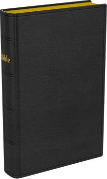 Bible Darby, format compact, cuir véritable noir, avec boîtier