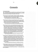 NLT Wide Margin Bible, Filament-Enabled Edition (Leatherlike, Dusty Pink Blossoms, Indexed)