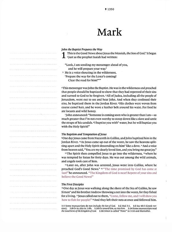 NLT Wide Margin Bible, Filament-Enabled Edition (Leatherlike, Dusty Pink Blossoms, Indexed)