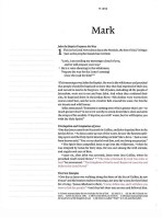 NLT Wide Margin Bible, Filament-Enabled Edition (Leatherlike, Dusty Pink Blossoms, Indexed)