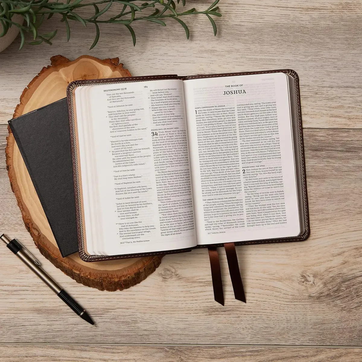 Anglais, Bible, New King James Version, compacte, similicuir noir motif croix, paroles de Jésus...
