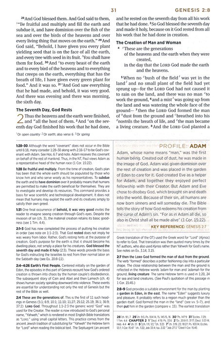 Anglais, Bible d'étude English Standard Version - similicuir vert