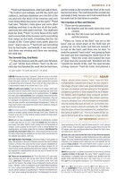 Anglais, Bible d'étude English Standard Version - similicuir vert