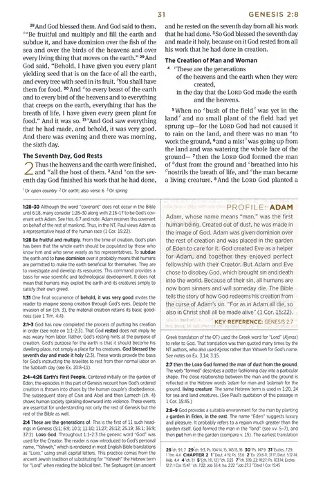 Anglais, Bible d'étude English Standard Version - Similicuir bleu