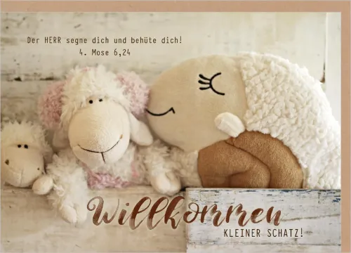 Faltkarte Willkommen kleiner Schatz (mit Kuscheltieren) - 4. Mose 6,24