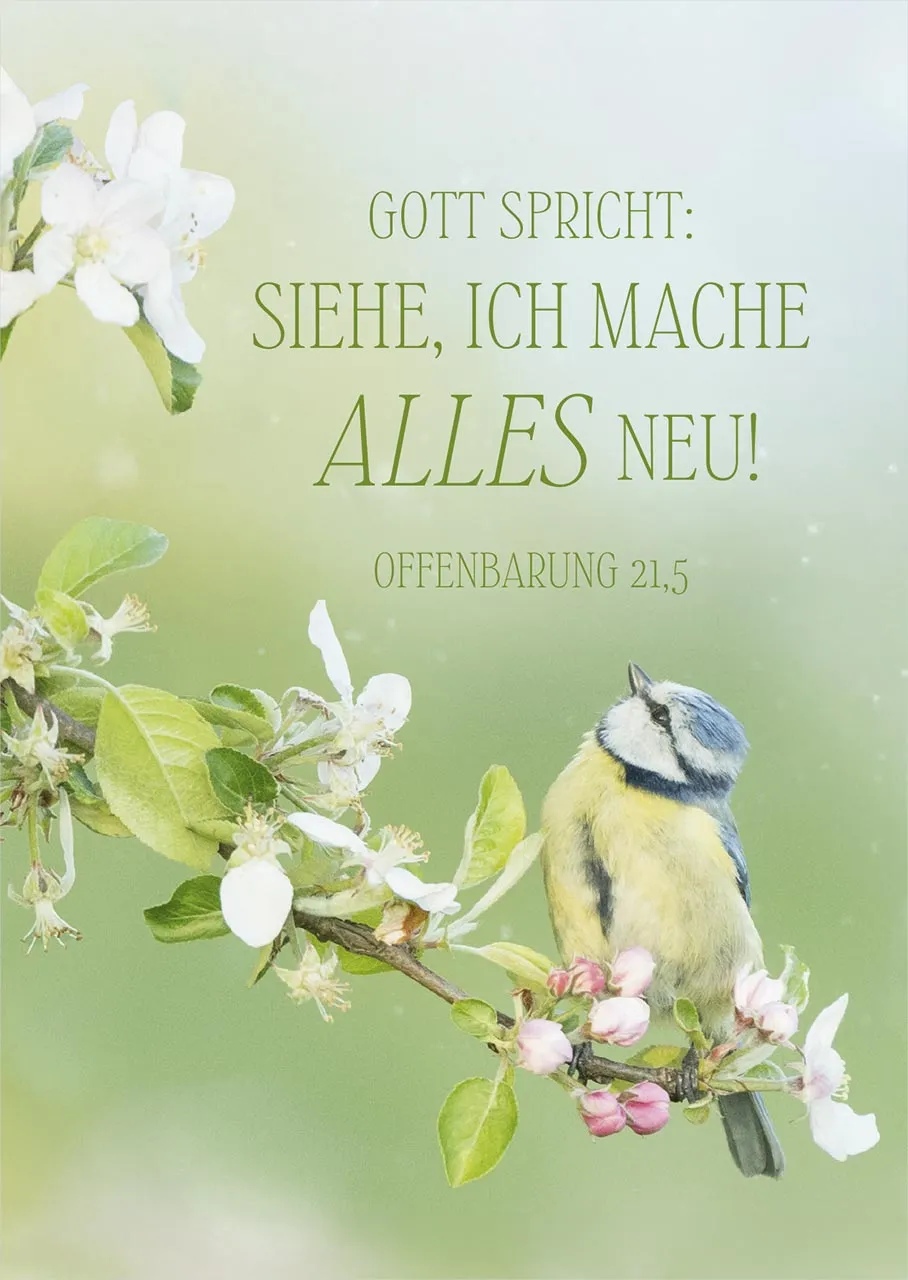 Poster A2 JL 2026 Motiv Vogel - Offenbarung 21,5