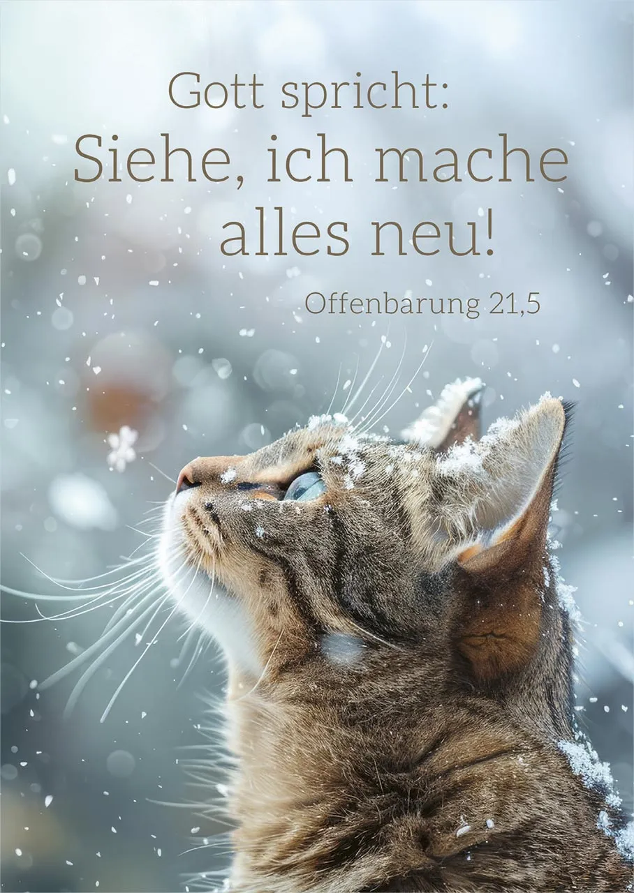 Poster A3 JL 2026 Motiv Katze - Offenbarung 21,5