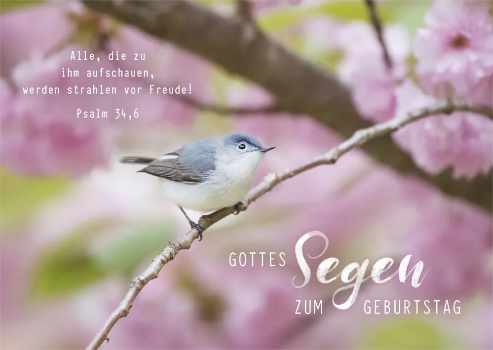 Postkarten Vögelchen - Psalm 34,6