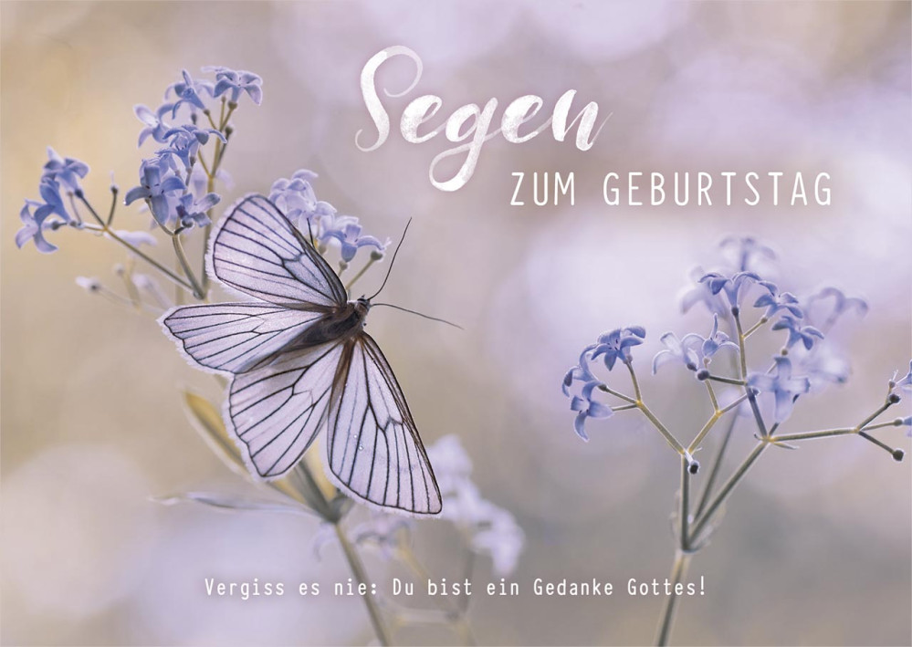 Postkarten Schmetterling