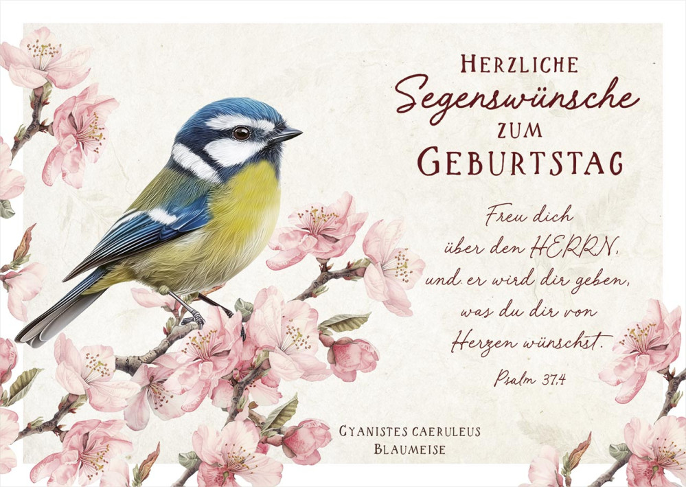 Postkarten Blaumeise - Psalm 37,4