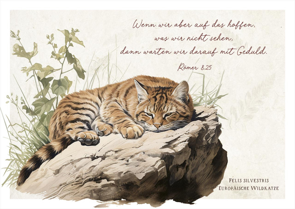 Postkarten Wildkatze - Römer 8,25