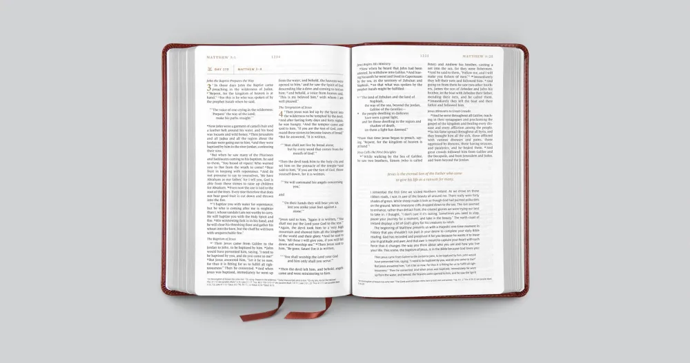 Anglais, Bible, English Standard Version, Every Day Gospel Bible - ESV Everyday Gospel Bible