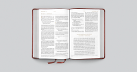 Anglais, Bible, English Standard Version, Every Day Gospel Bible - ESV Everyday Gospel Bible
