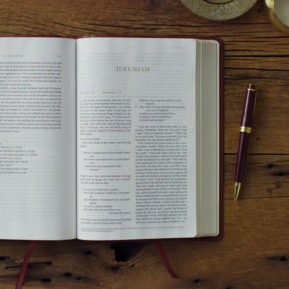 Anglais, Bible, English Standard Version, Every Day Gospel Bible - ESV Everyday Gospel Bible