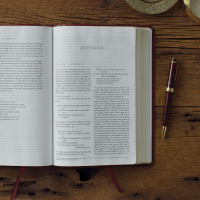 Anglais, Bible, English Standard Version, Every Day Gospel Bible - ESV Everyday Gospel Bible