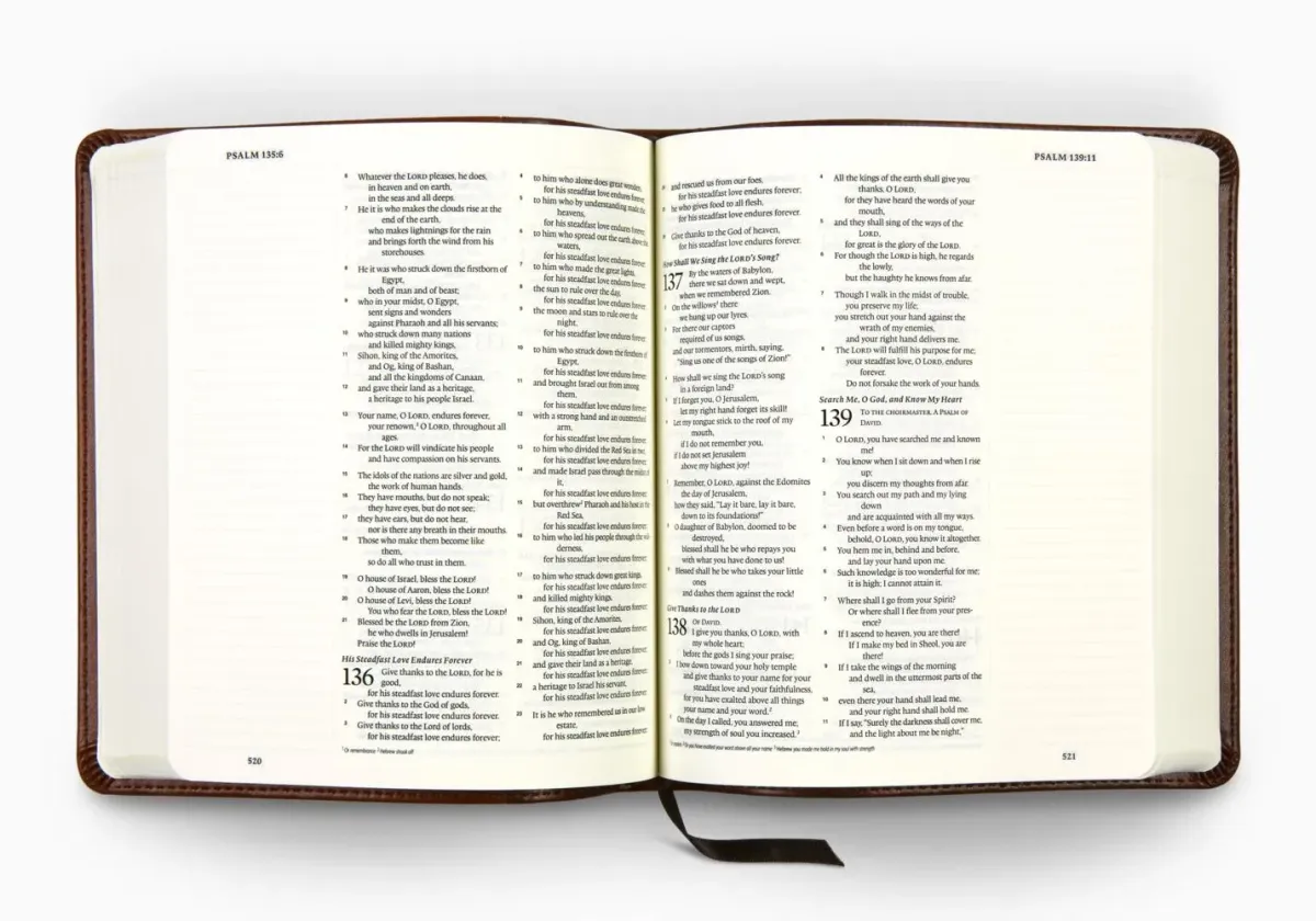 Anglais, Bible Journaling, English Standard Version - cuir brun, marque page, grandes marges