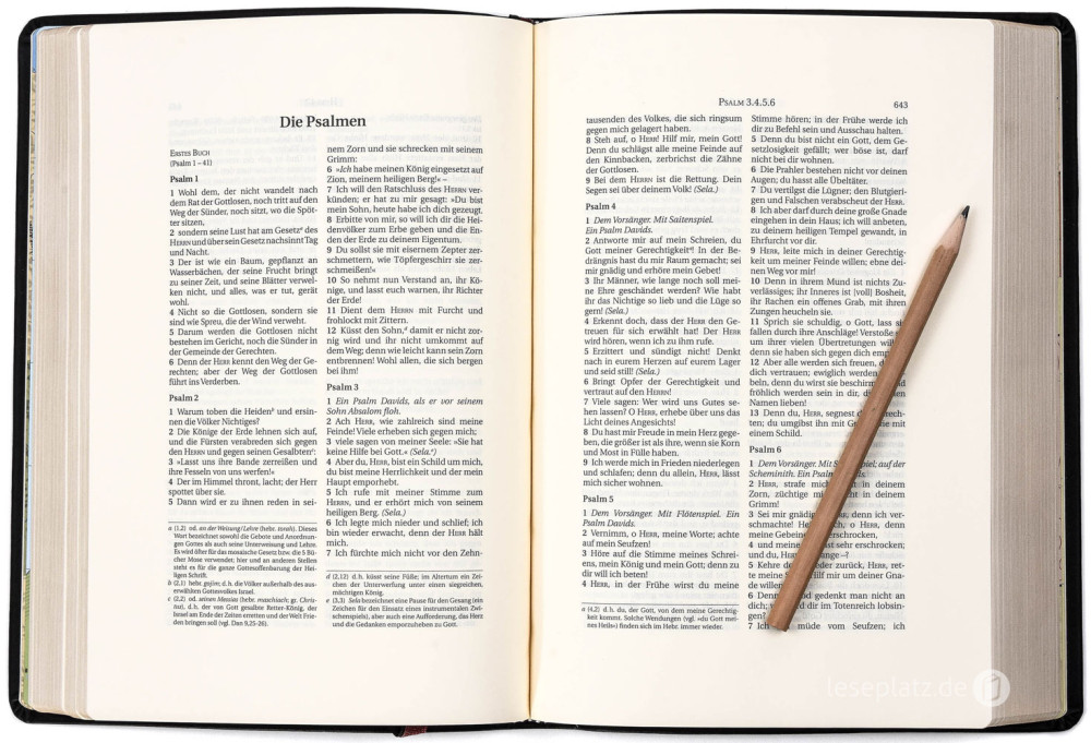 Schlachter 2000 Bibel – Schreibrandausgabe (flexibler Leder-Umschlag, schwarz) -...