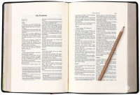 Schlachter 2000 Bibel – Schreibrandausgabe (flexibler Leder-Umschlag, schwarz) -...