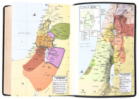 Schlachter 2000 Bibel – Schreibrandausgabe (flexibler Leder-Umschlag, schwarz) -...