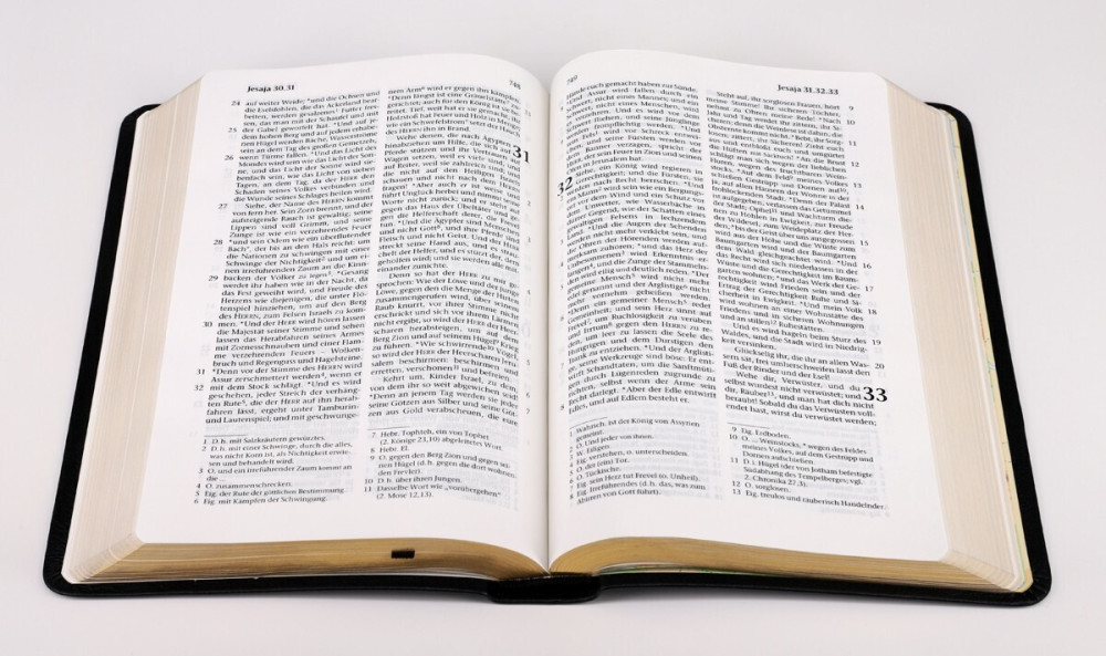 Elberfelder Bibel CSV Hückeswagen Taschenausgabe - Rindleder schwarz, Goldschnitt, Lesezeichen