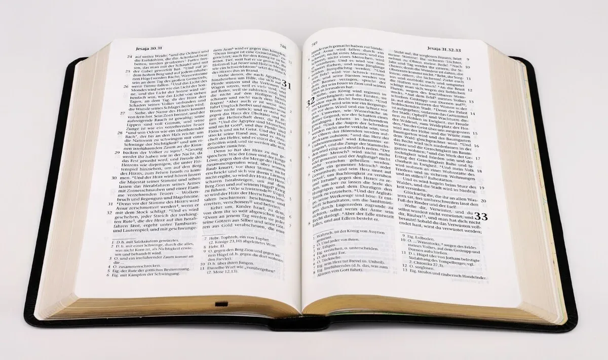 Elberfelder Bibel CSV Hückeswagen Taschenausgabe - Rindleder schwarz, Goldschnitt, Lesezeichen