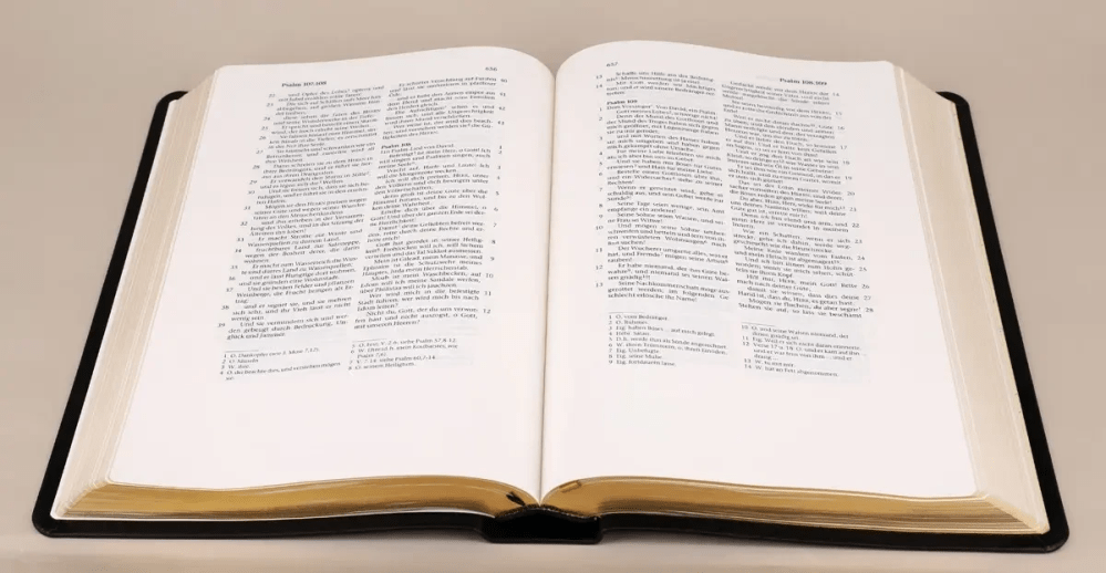 Elberfelder Schreibrandbibel CSV 724 Hückeswagen Grossausgabe - Leder schwarz, Goldschnitt,...