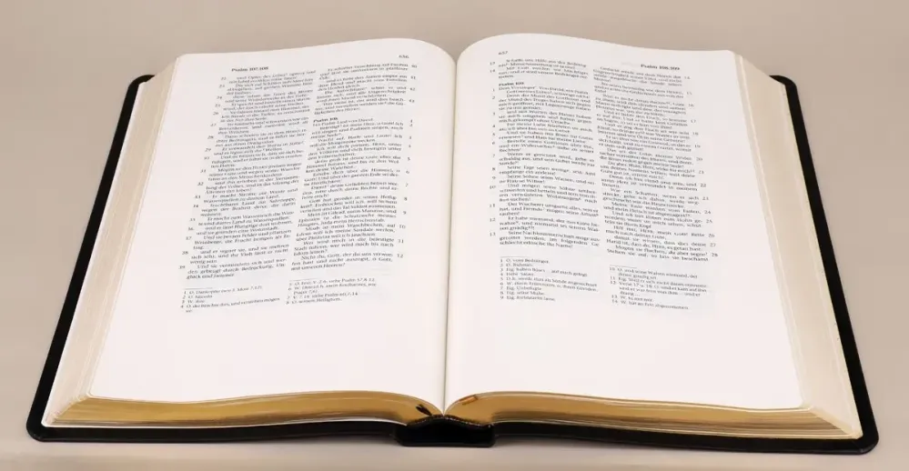 Elberfelder Schreibrandbibel CSV 724 Hückeswagen Grossausgabe - Leder schwarz, Goldschnitt,...