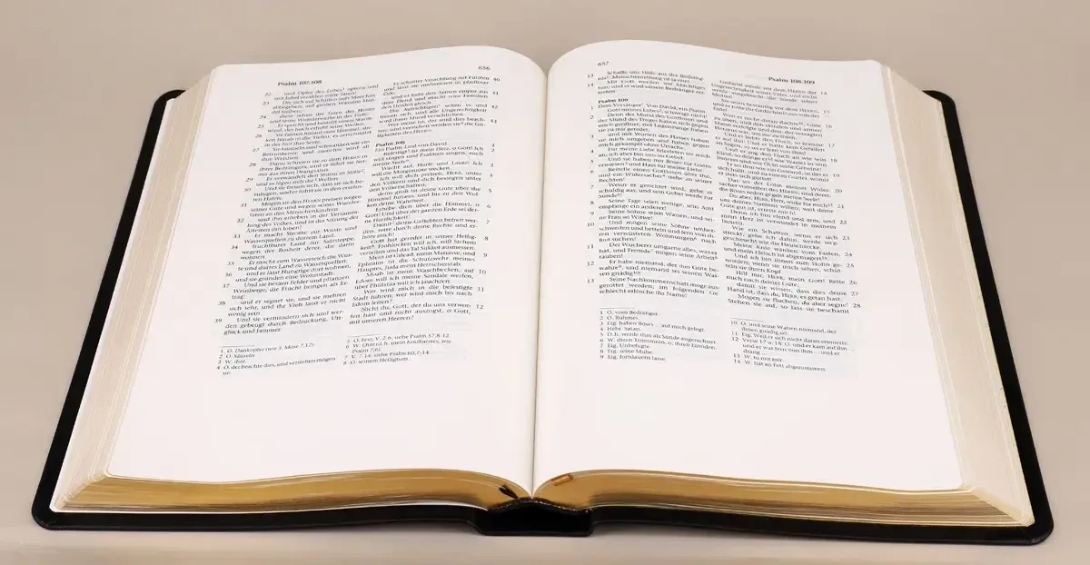 Elberfelder Schreibrandbibel CSV 724 Hückeswagen Grossausgabe - Leder schwarz, Goldschnitt,...