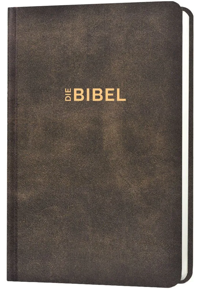 Schlachter 2000 Bible - Edition de poche (couverture rigide, illustrée, aspect cuir antique)