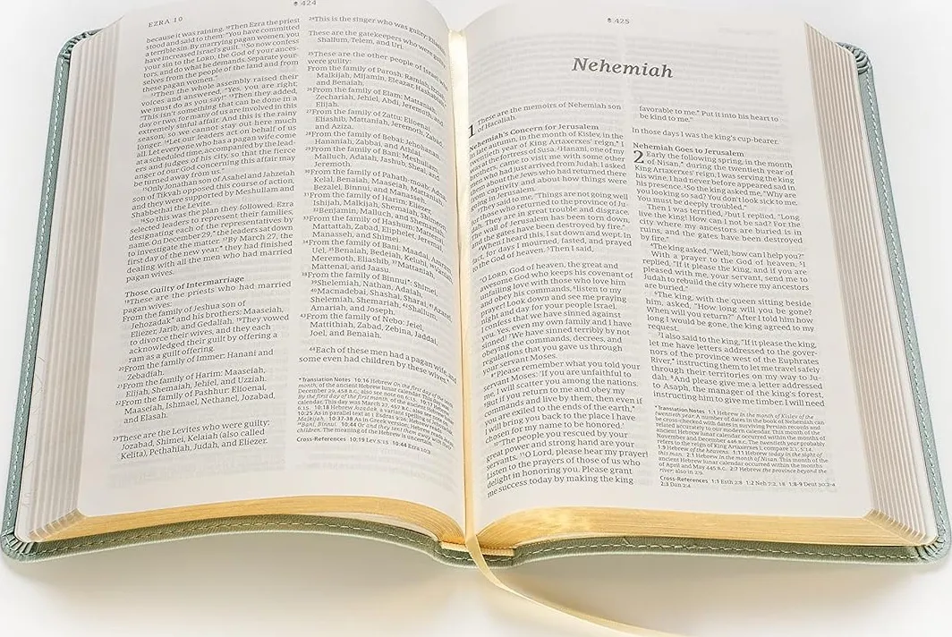 Anglais, Bible, New Living Translation, similicuir "Sauge", paroles de Jésus en rouge - NLT...